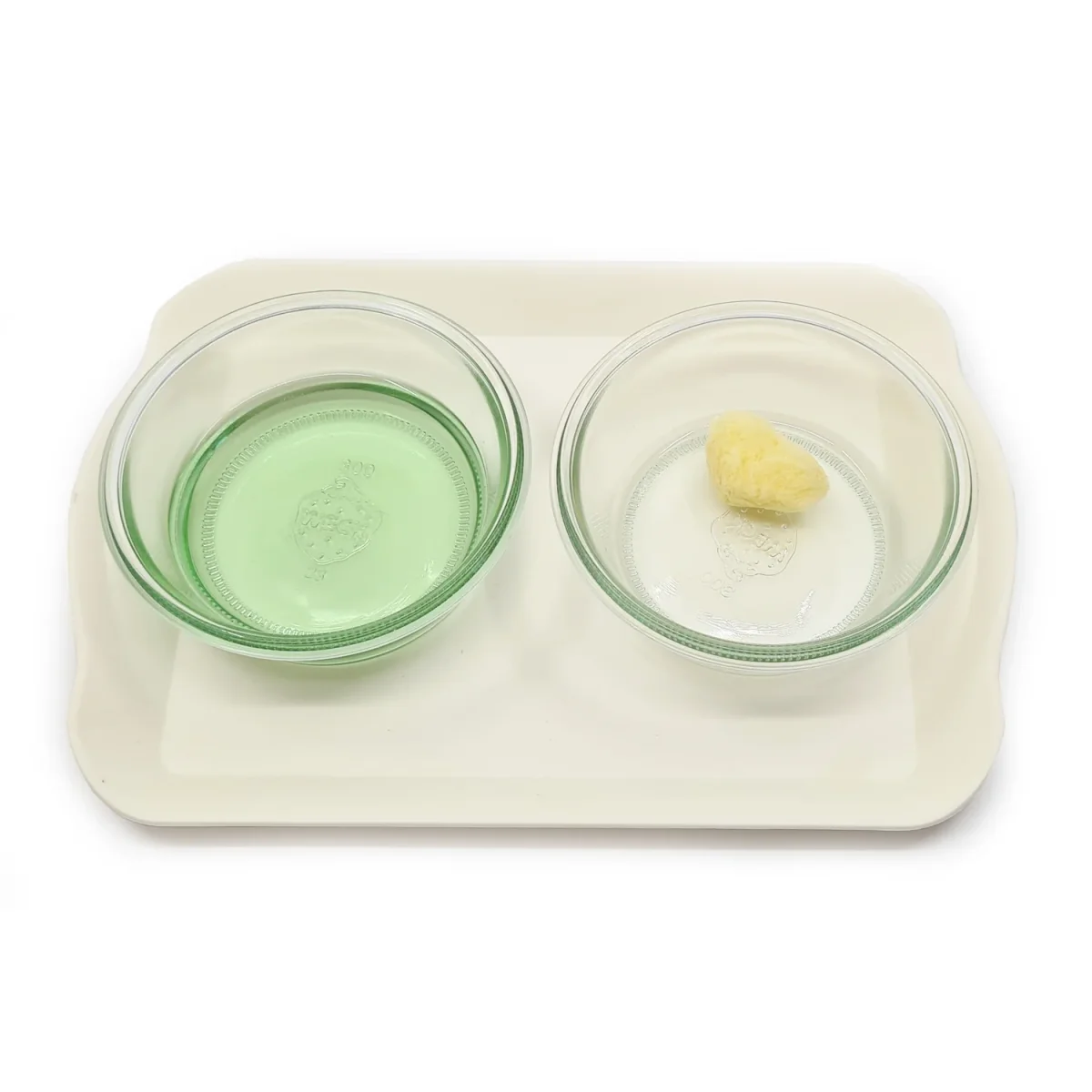 Practical Life Transferring Set - Image 9