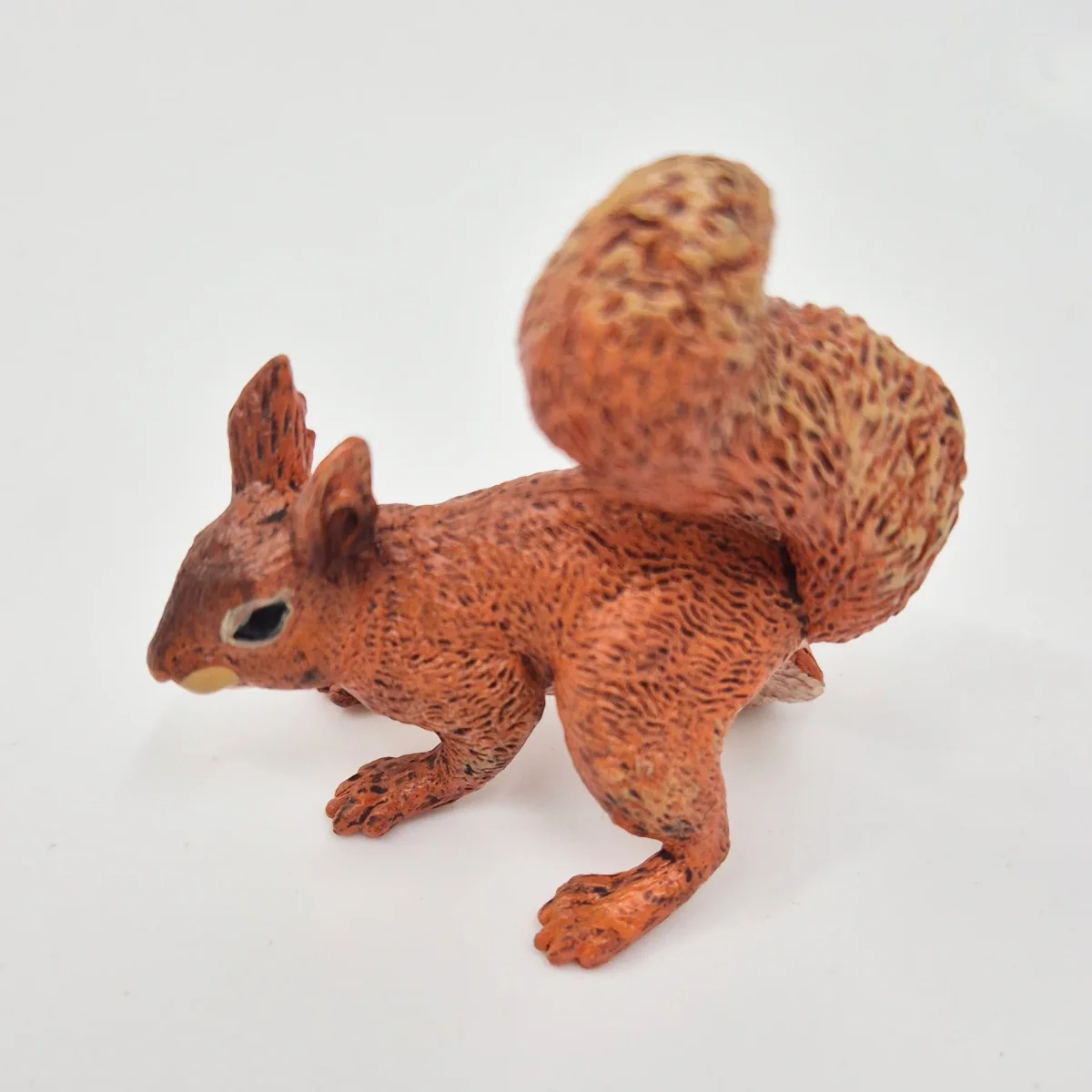 Animals of Europe: Red Squirrel - Image 2