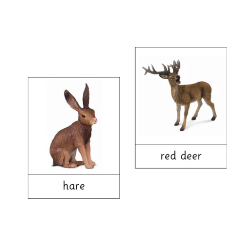 Animals of Europe .pdf file